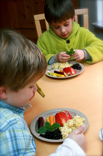 Healthy+food+choices+for+kids